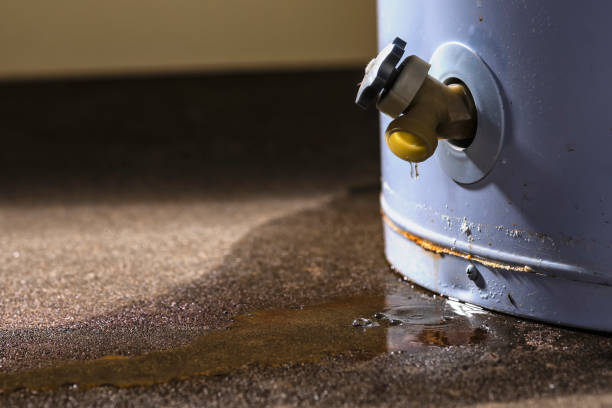 Best Emergency water damage restoration  in Pelican Bay, TX