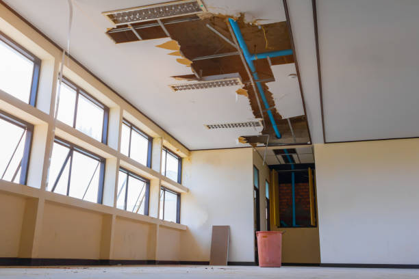 Best Basement water damage restoration  in Pelican Bay, TX