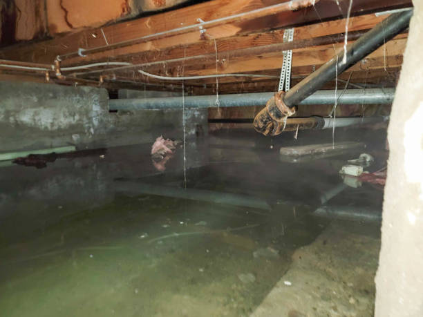 Best Flood damage cleanup  in Pelican Bay, TX