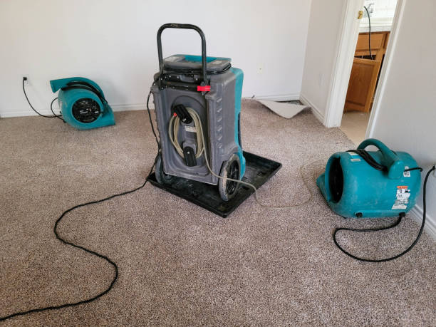 Best Water damage restoration near me  in Pelican Bay, TX