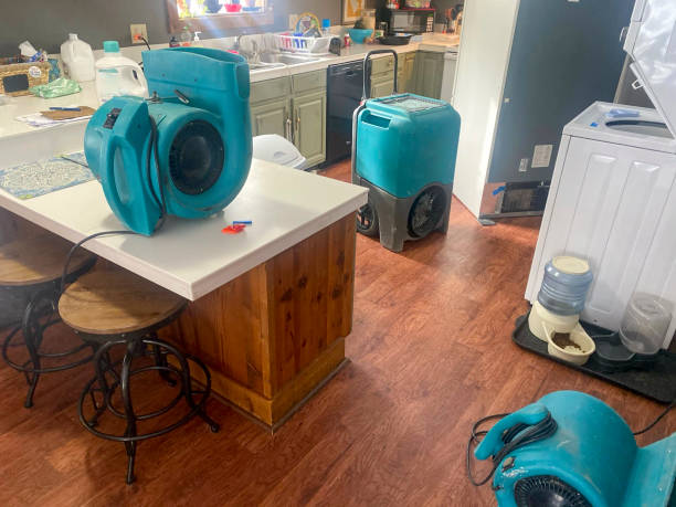 Best Carpet water damage restoration  in Pelican Bay, TX