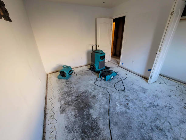 Best Mold removal after water damage  in Pelican Bay, TX