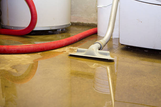 Best Water damage restoration near me  in Pelican Bay, TX