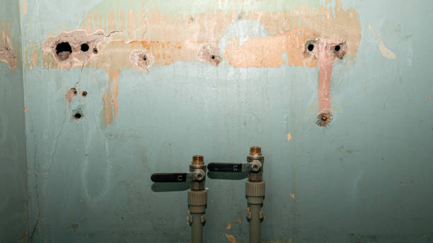 Best Local water damage restoration  in Pelican Bay, TX